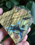 Semi polished labradorite slab 13