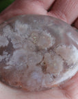 Flower agate pocket stone 5