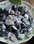 Tree agate tumbled stones (set of 3)