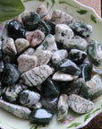 Tree agate tumbled stones (set of 3)