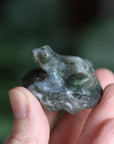 Moss agate frog 6