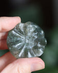 Moss agate frog 6