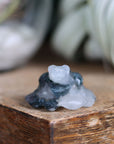 Moss agate frog 8