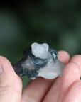 Moss agate frog 8