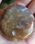 8th vein ocean jasper pocket stone 14