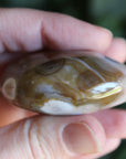 8th vein ocean jasper pocket stone 15