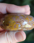 8th vein ocean jasper pocket stone 16