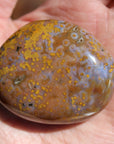 8th vein ocean jasper pocket stone 16