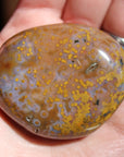 8th vein ocean jasper pocket stone 16