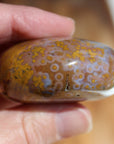 8th vein ocean jasper pocket stone 16