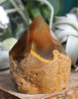 Semi polished carnelian tower 6