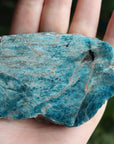 Semi polished blue apatite slab 4