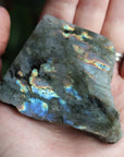 Semi polished labradorite slab 1