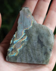 Semi polished labradorite slab 1