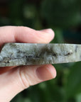 Semi polished labradorite slab 1