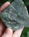 Semi polished labradorite slab 1