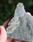 Semi polished labradorite slab 1