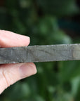Semi polished labradorite slab 2