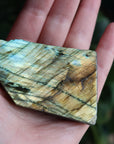 Semi polished labradorite slab 4