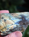 Semi polished labradorite slab 4