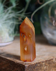 Carnelian agate tower 5