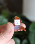 Small/Medium agate goldfish