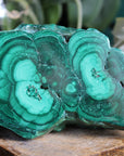 Semi polished malachite 13