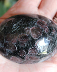 Garnet astrophyllite pocket stone 5