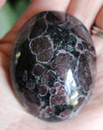 Garnet astrophyllite pocket stone 6
