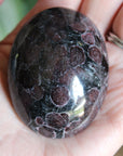 Garnet astrophyllite pocket stone 6