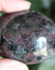 Garnet astrophyllite pocket stone 6