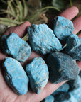 Rough blue apatite pieces (set of 3)