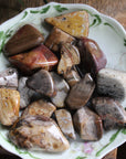 Petrified wood tumbled stones (set of 3)