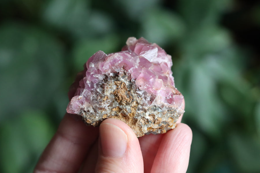 Pink cobalto calcite 2