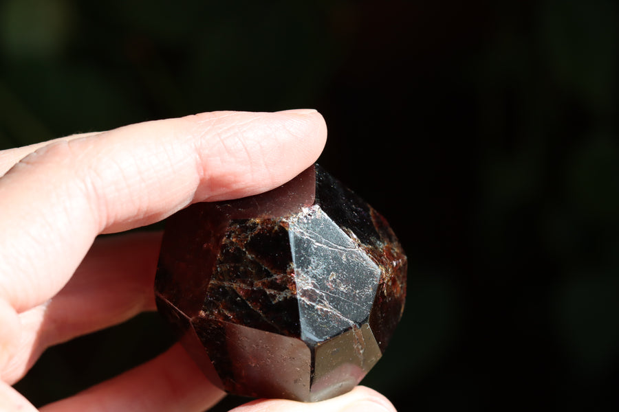 Garnet 1 new