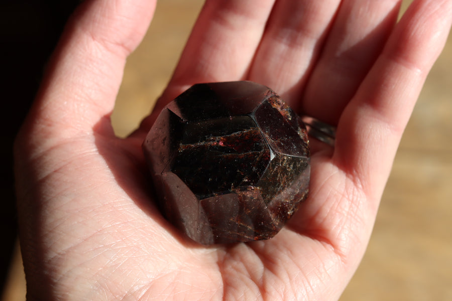 Garnet 1 new