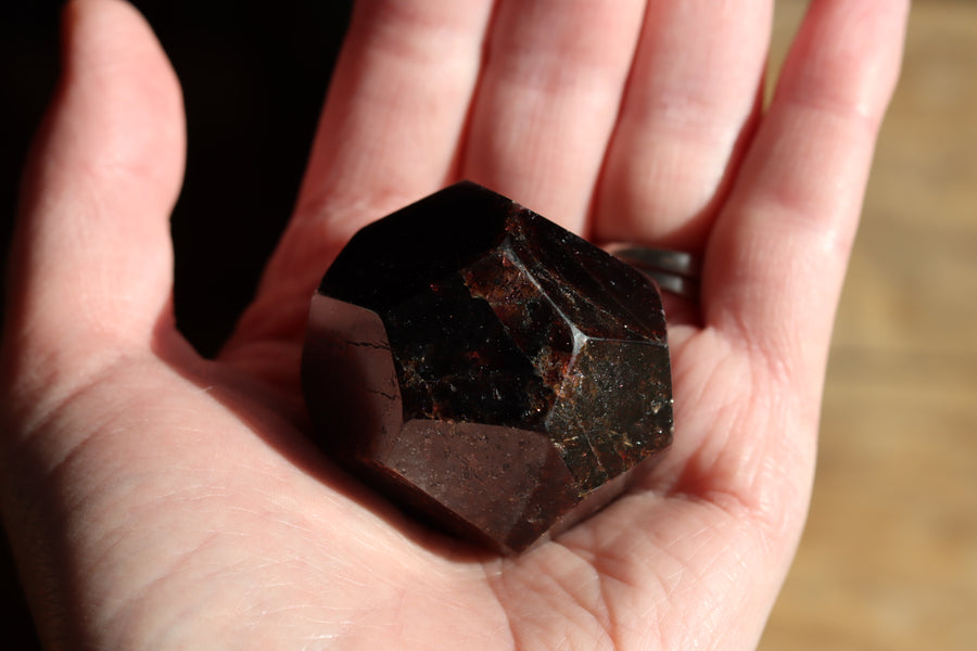 Garnet 1 new