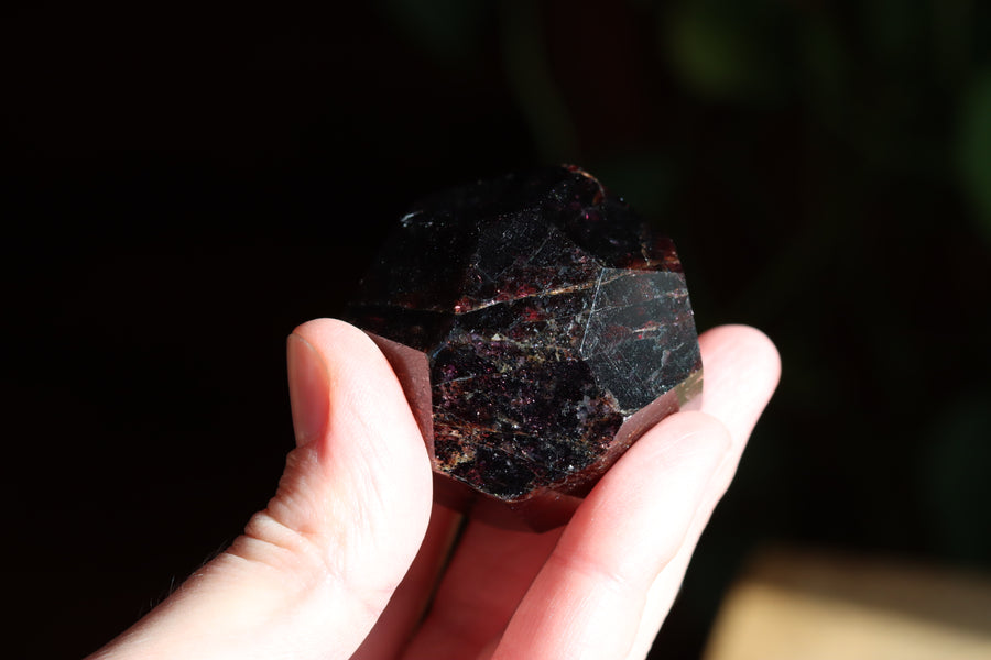 Garnet 2 new