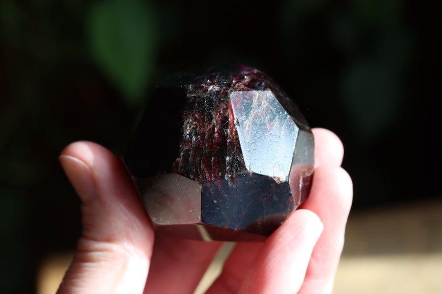 Garnet 4 new
