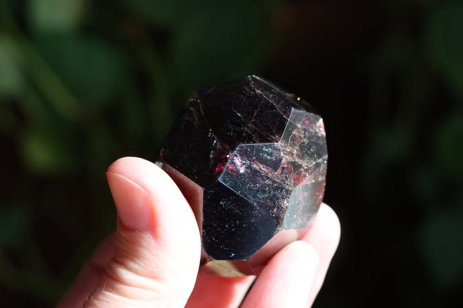 Garnet 4 new
