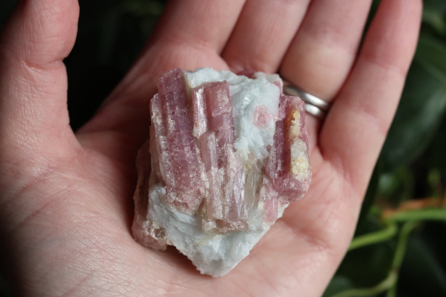 Rough pink tourmaline 3