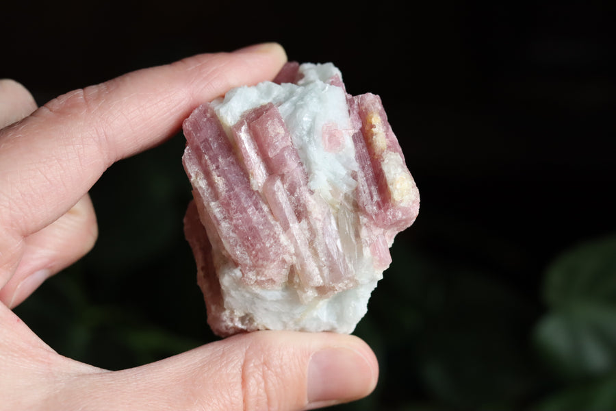 Rough pink tourmaline 3