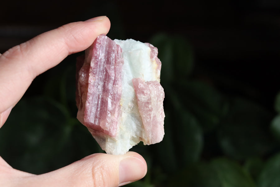 Rough pink tourmaline 3