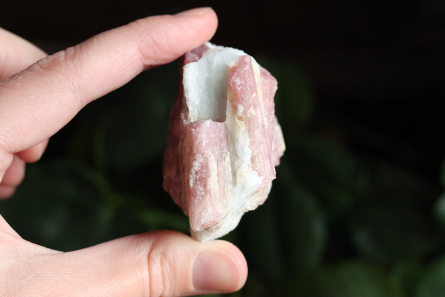 Rough pink tourmaline 3