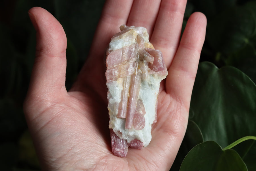 Rough pink tourmaline 4