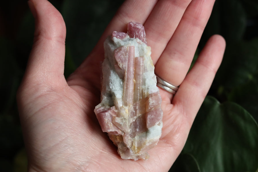 Rough pink tourmaline 4