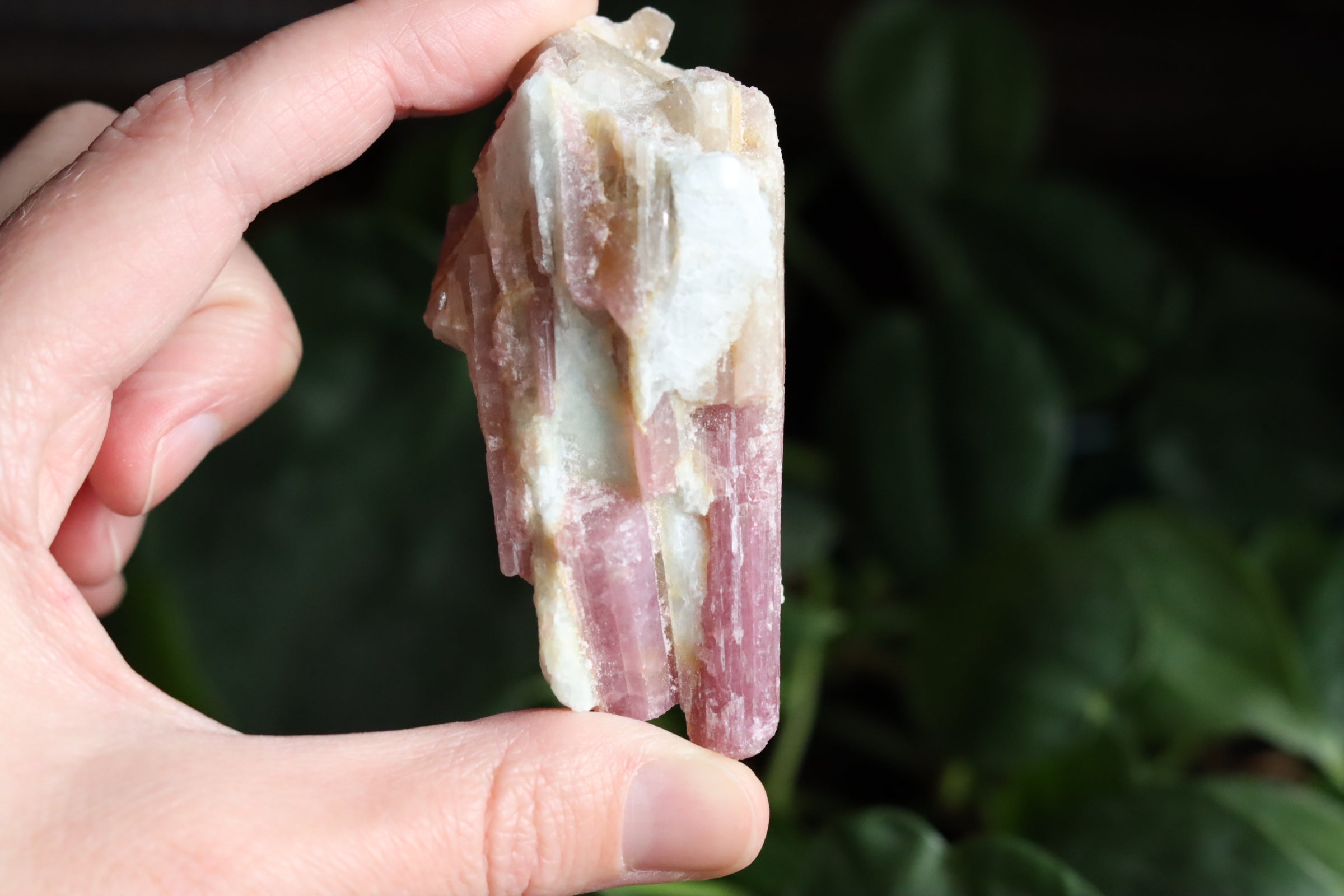 Rough pink tourmaline 4