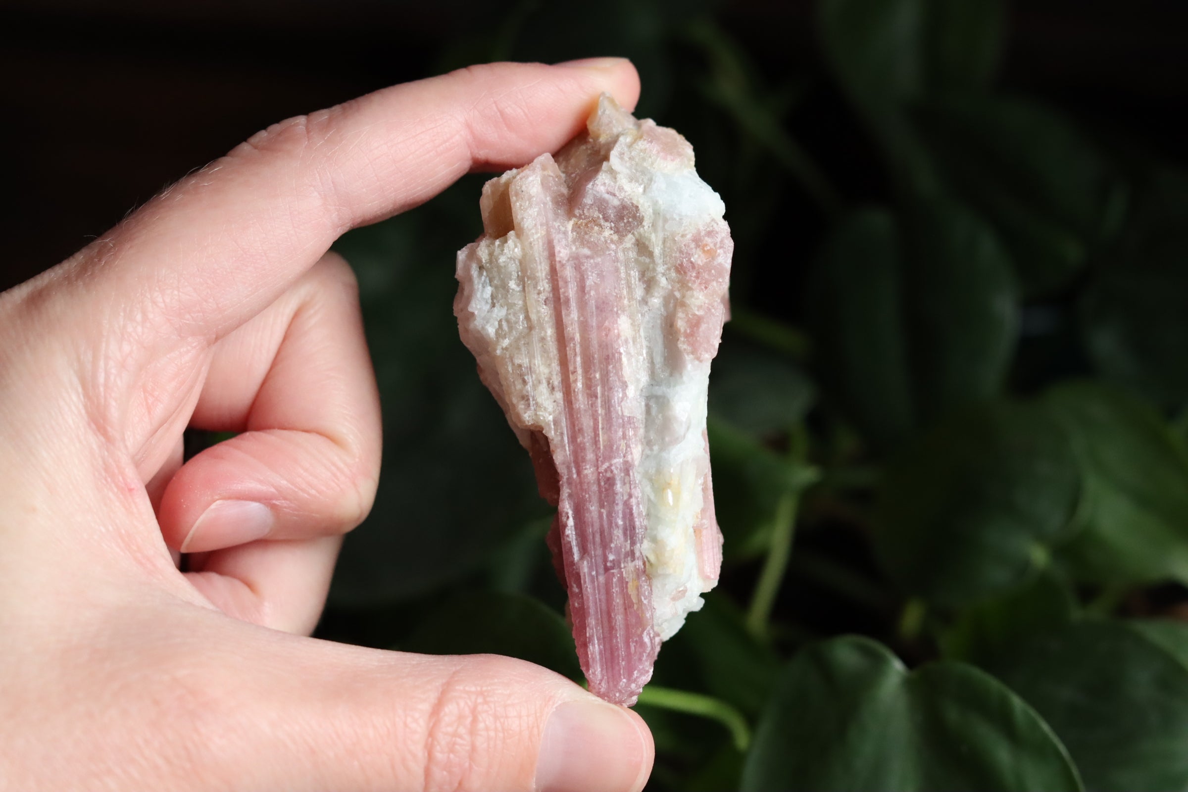 Rough pink tourmaline 4