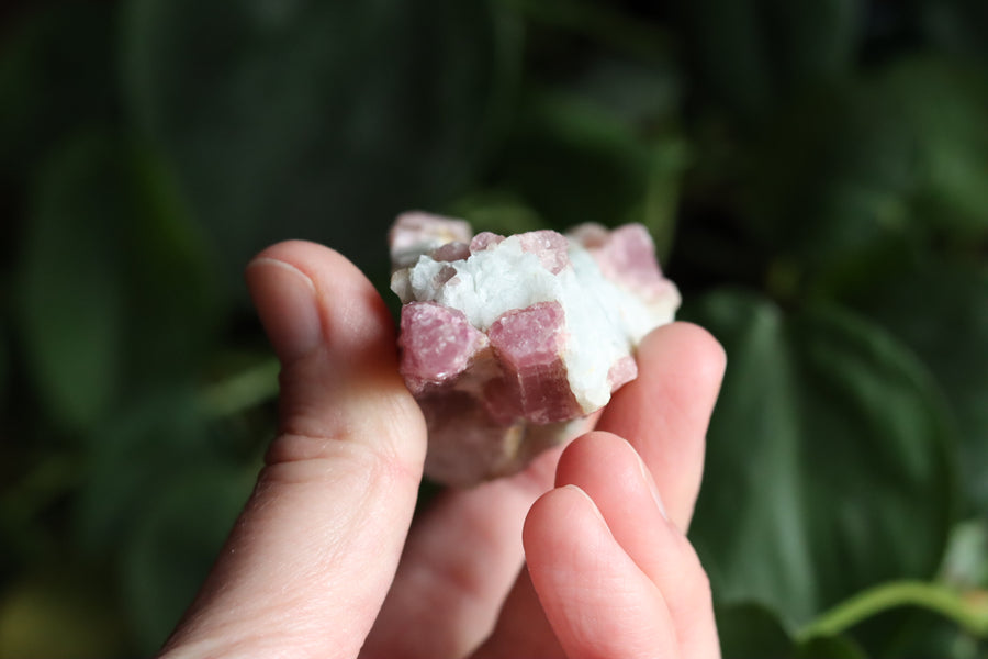 Rough pink tourmaline 4