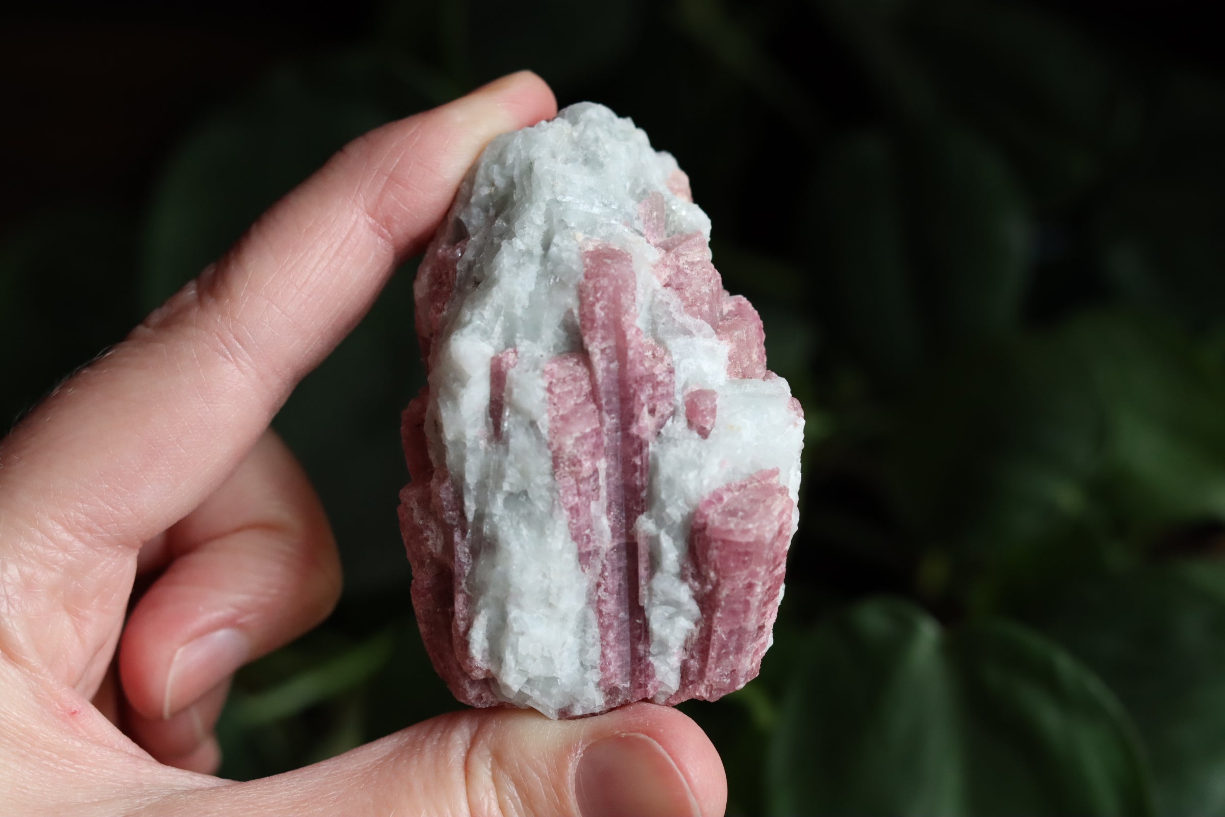 Rough pink tourmaline 5